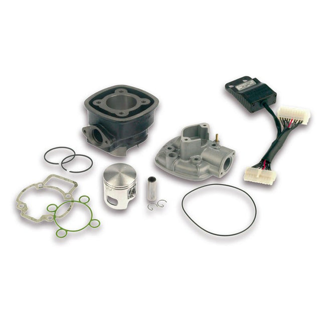 MALOSSI CAST IRON CYLINDER KIT 70CC (3112044) - DRIVEN Canada's Powersports 31120443112044