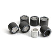 MALOSSI CLUTCH ROLLERS 20.9X17MM 9.0GR (6611748.C0) - DRIVEN Canada's Powersports 6611748.C06611748.C0