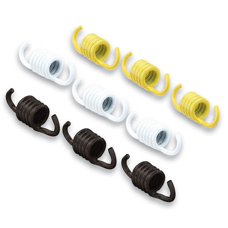 MALOSSI CLUTCH SPRINGS (29 7454S) - DRIVEN Canada's Powersports 44429745429 7454S