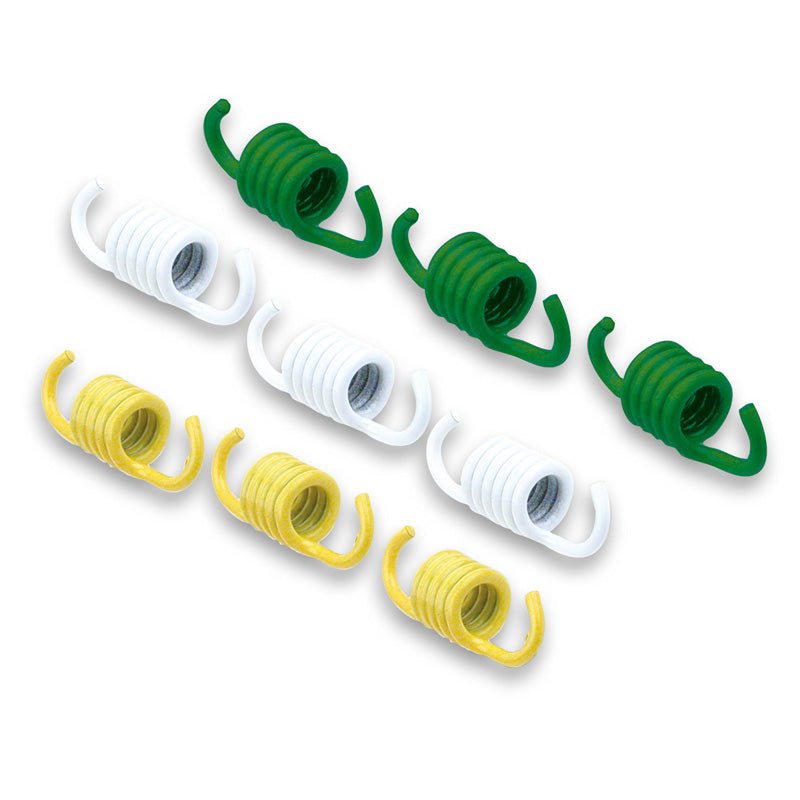 MALOSSI CLUTCH SPRINGS (29 7715S) - DRIVEN Canada's Powersports 29 7715S29 7715S