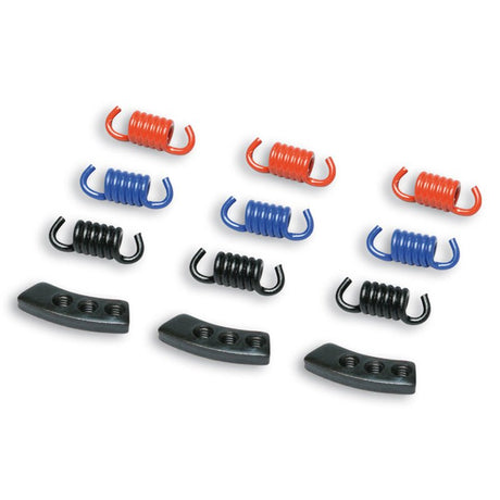MALOSSI CLUTCH SPRINGS (29 8747S) - DRIVEN Canada's Powersports 29 8747S29 8747S