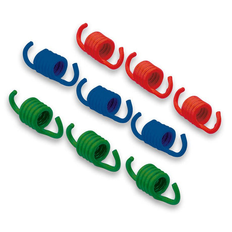 MALOSSI CLUTCH SPRINGS (29 9605S) - DRIVEN Canada's Powersports 44429960529 9605S