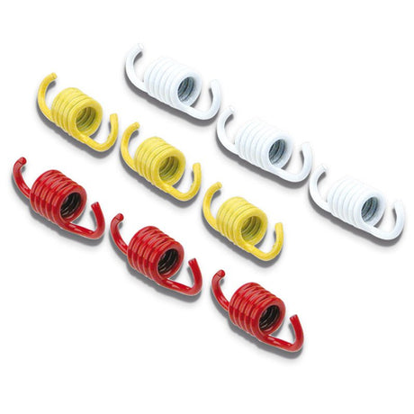 MALOSSI CLUTCH SPRINGS (2912536T) - DRIVEN Canada's Powersports 2912536T2912536T