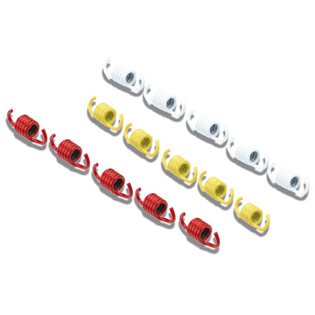 MALOSSI CLUTCH SPRINGS (2912553) - DRIVEN Canada's Powersports 29125532912553