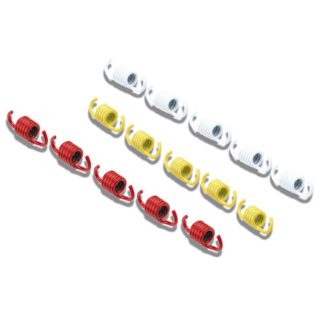 MALOSSI CLUTCH SPRINGS (2912553) - DRIVEN Canada's Powersports 29125532912553