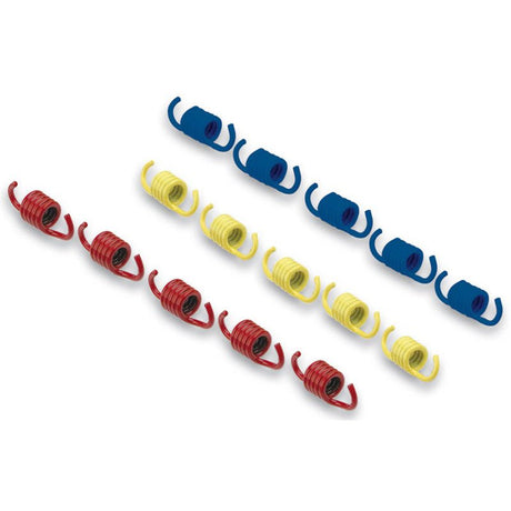 MALOSSI CLUTCH SPRINGS (2912779) - DRIVEN Canada's Powersports 29127792912779
