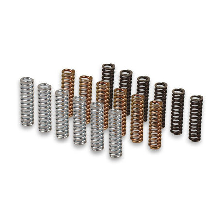MALOSSI CLUTCH SPRINGS (2913327) - DRIVEN Canada's Powersports 29133272913327