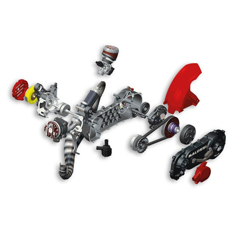 MALOSSI COMPLETE ENGINE C - ONE MINARELLI 70CC (4917548) - DRIVEN Canada's Powersports 49175484917548