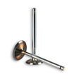 MALOSSI ENGINE VALVES (2711826) - DRIVEN Canada's Powersports 27118262711826