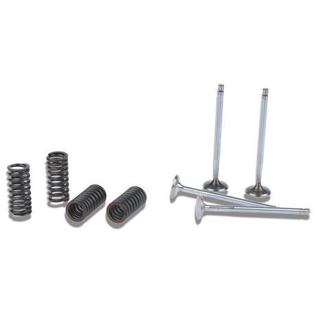 MALOSSI ENGINE VALVES AND SPRINGS (2712996) - DRIVEN Canada's Powersports 27129962712996