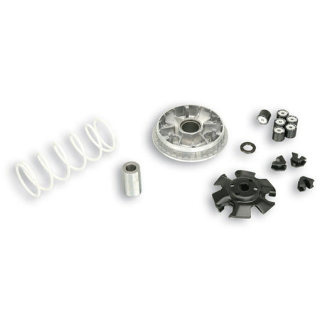 MALOSSI MULTIVAR 2000 (5113813) - DRIVEN Canada's Powersports 51138135113813
