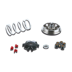 MALOSSI MULTIVAR (5113363T) - DRIVEN Canada's Powersports 44451133635113363T