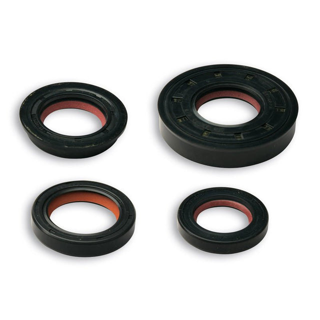 MALOSSI OIL SEAL KIT FKM/PTFE YAMAHA (6615754) - DRIVEN Canada's Powersports 66157546615754