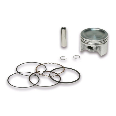 MALOSSI PISTON 49MM (3416825) - DRIVEN Canada's Powersports 34168253416825