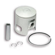 MALOSSI PISTON (D) 47MM 10MM (3411346.D0) - DRIVEN Canada's Powersports 3411346.D03411346.D0