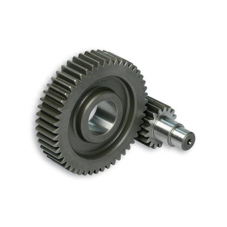 MALOSSI SECONDARY GEAR HTQ Z 17/49 (6712194) - DRIVEN Canada's Powersports 67121946712194