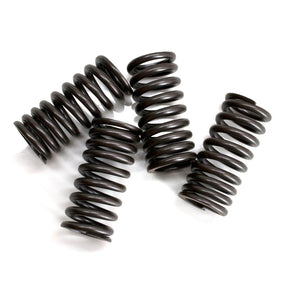 MALOSSI VALVE SPRINGS (2912834) - DRIVEN Canada's Powersports 29128342912834