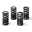 MALOSSI VALVE SPRINGS (2913068) - DRIVEN Canada's Powersports 29130682913068