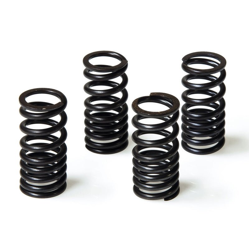 MALOSSI VALVE SPRINGS (2913068) - DRIVEN Canada's Powersports 29130682913068