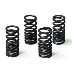 MALOSSI VALVE SPRINGS (2913068) - DRIVEN Canada's Powersports 29130682913068