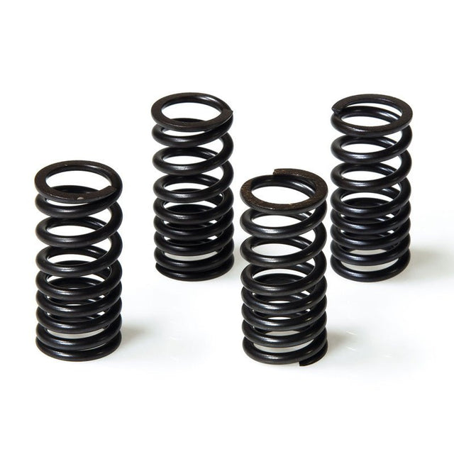 MALOSSI VALVE SPRINGS (2913068) - DRIVEN Canada's Powersports 29130682913068