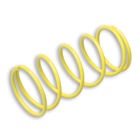 MALOSSI VARIATOR SPRING (29 7045SY) - DRIVEN Canada's Powersports 44429704529 7045SY