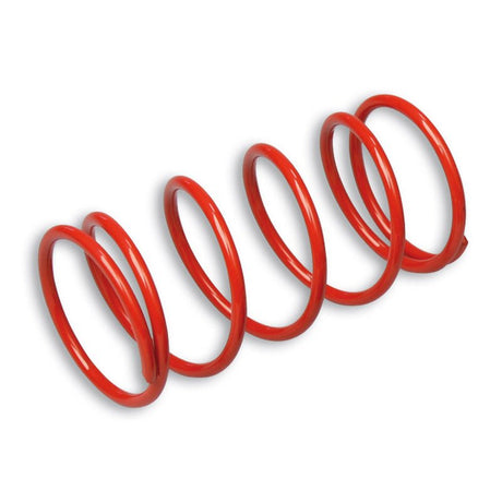 MALOSSI VARIATOR SPRING (29 7046SR) - DRIVEN Canada's Powersports 44429704629 7046SR