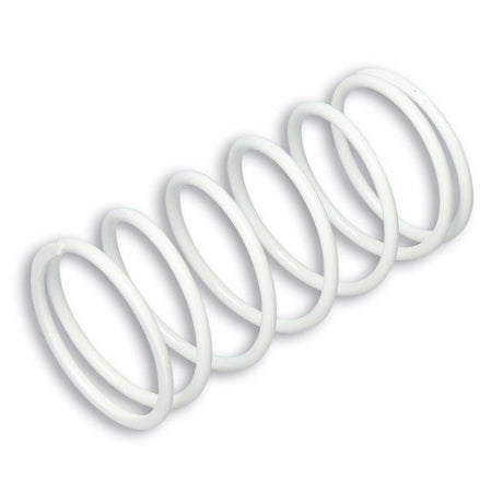 MALOSSI VARIATOR SPRING (29 8360SW) - DRIVEN Canada's Powersports 44429836029 8360SW
