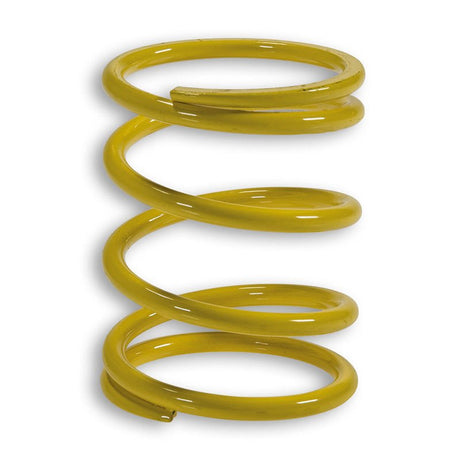 MALOSSI VARIATOR SPRING (2911384.Y0) - DRIVEN Canada's Powersports 2911384.Y02911384.Y0