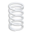MALOSSI VARIATOR SPRING - DRIVEN Canada's Powersports 2913003.W02913003.W0