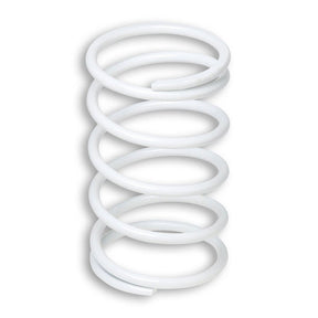 MALOSSI VARIATOR SPRING - DRIVEN Canada's Powersports 2913003.W02913003.W0
