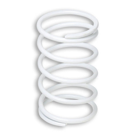 MALOSSI VARIATOR SPRING - DRIVEN Canada's Powersports 2913003.W02913003.W0