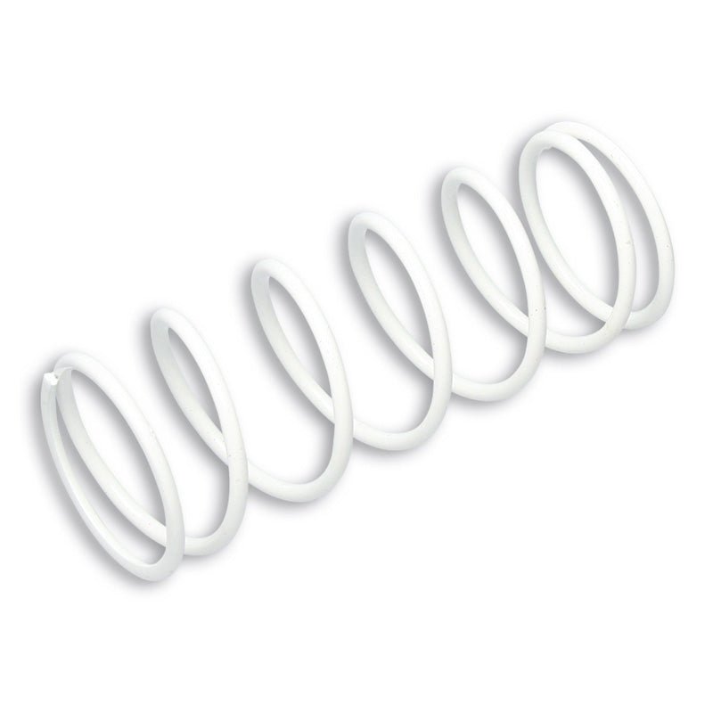 MALOSSI VARIATOR SPRING - DRIVEN Canada's Powersports 2912480TW2912480TW