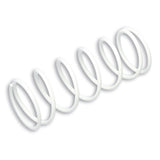 MALOSSI VARIATOR SPRING - DRIVEN Canada's Powersports 2912480TW2912480TW