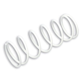MALOSSI VARIATOR SPRING - DRIVEN Canada's Powersports 2912480TW2912480TW