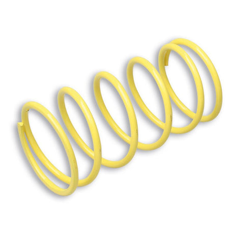MALOSSI VARIATOR SPRING - DRIVEN Canada's Powersports 2916464TY2916464TY