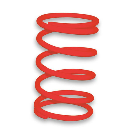 MALOSSI VARIATOR SPRING - DRIVEN Canada's Powersports 2916465.R02916465.R0