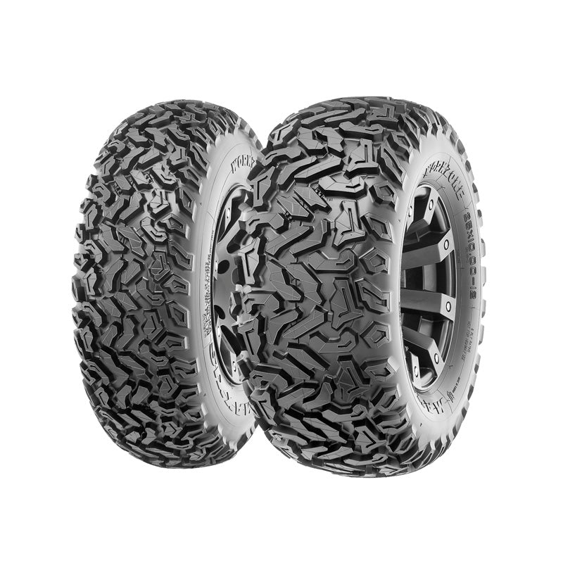 MAXXIS 25X10 - 12 6PR M102 WORKZONE REAR BP (TM00119900) - DRIVEN Canada's Powersports TM00119900