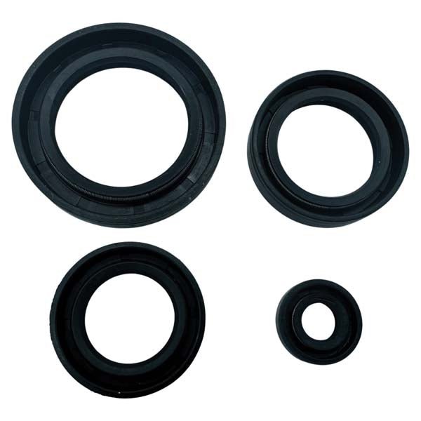 MOGO/OUTSIDE DISTRIBUTING MOGO PARTS OIL SEAL KIT (92 - 0036) - DRIVEN Canada's Powersports 92 - 0036
