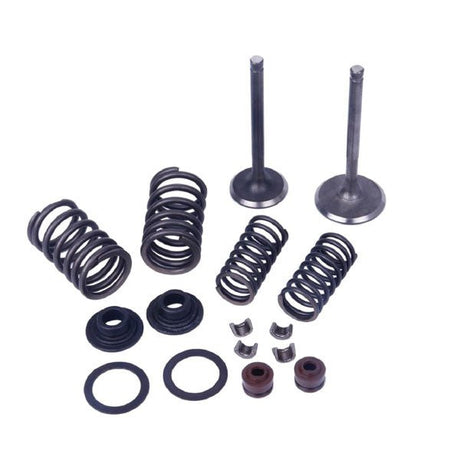 MOGO/OUTSIDE DISTRIBUTING MOGO PARTS VALVE KIT (61 - 0220) - DRIVEN Canada's Powersports 87428500273461 - 0220