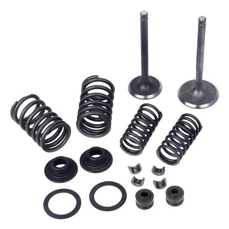 MOGO/OUTSIDE DISTRIBUTING VALVE KIT FOR HORIZONTAL MOTOR (61 - 0201) - DRIVEN Canada's Powersports 87428500268061 - 0201