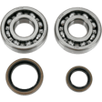 MOOSE RACING 24 - 1021 CRANK BEARING & SEAL KIT - Driven Powersports Inc.24 - 1021