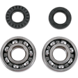 MOOSE RACING 24 - 1062 CRANK BEARING & SEAL KIT - Driven Powersports Inc.24 - 1062