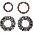 MOOSE RACING BEARING CRANK MSE BETA (24 - 1123) - DRIVEN Canada's Powersports 24 - 1123