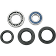 MOOSE RACING 25 - 1017 ATV WHEEL BEARING KIT - Driven Powersports Inc.25 - 1017