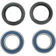 MOOSE RACING 25 - 1329 ATV WHEEL BEARING KIT - Driven Powersports Inc.25 - 1329