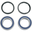 MOOSE RACING 25 - 1401 ATV WHEEL BEARING KIT - Driven Powersports Inc.25 - 1401