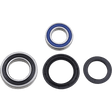 MOOSE RACING 25 - 1567 ATV WHEEL BEARING KIT - DRIVEN Canada's Powersports 25 - 1567