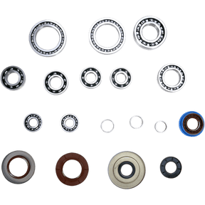 MOOSE RACING ATV REAR DIFFERENTIAL BEARING & SEAL KIT - Driven Powersports Inc.25 - 2084