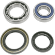 MOOSE RACING - 25 - 1018 - WHEEL BEARING KIT - Driven Powersports Inc.25 - 1018